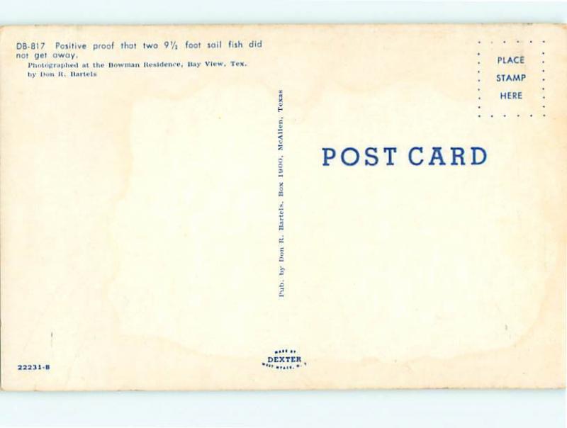 Vintage Post Card DB-817 Sailfish Taxidermy  Interiors  Texas  # 4550