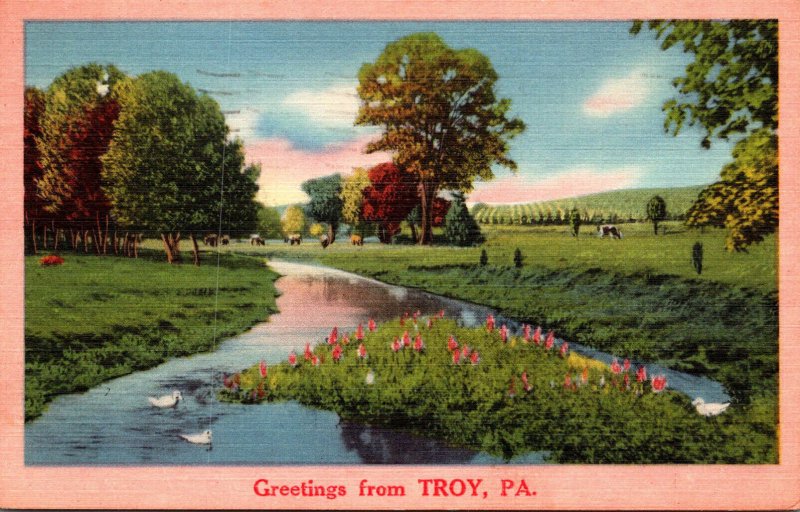 Pennsylvania Greetings From Troy 1959