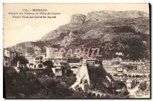Old Postcard Monaco Prince's Palace and Dog Tete