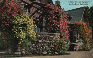 Southern California, 1915 Rose Covered Bungalow Walls Flowers Vintage Postcard