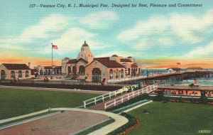 Vintage Postcard Municipal Pier Pleasure And Contentment Ventnor City New Jersey