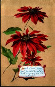 U.S. 1909 Christmas Postcard!