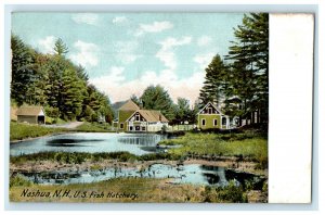 c1905s US Fish Hatchery, Nashua New Hampshire NH Unposted Postcard 