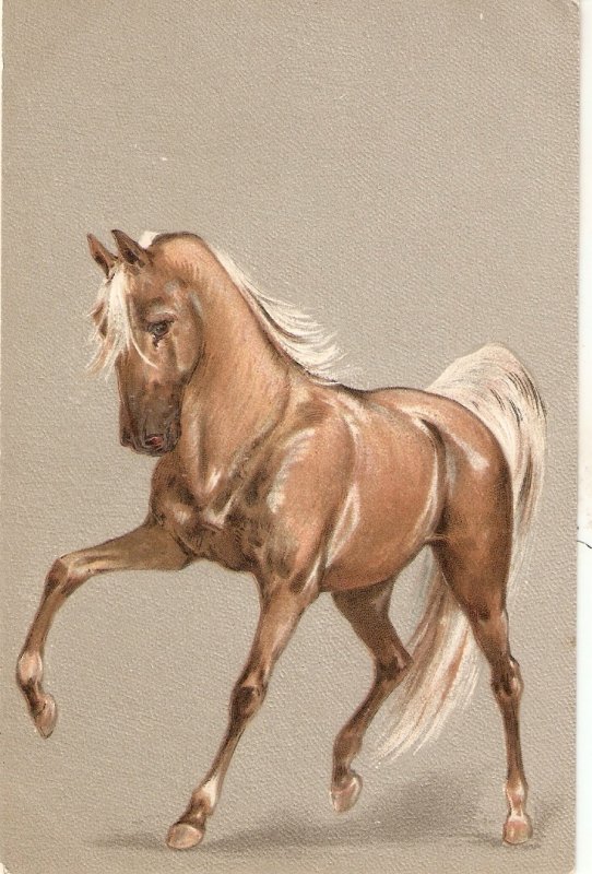 Beautiful Horse Nice old vintagen German postcard. Embossed