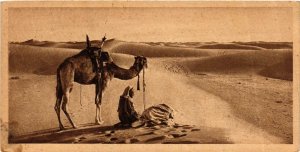 CPA Lehnert & Landrock 39 Prayer in the Desert EGYPT (917779)