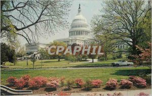 Postcard Modern Washington DC Capitol and Spring Blossams