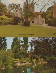 Swans Lake St Osyth Swan 1970s Essex 2x Postcard