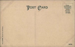 Harrisburg Pennsylvania PA Bird's Eye View c1910 Vintage Postcard