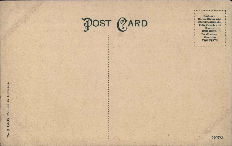 Harrisburg Pennsylvania PA Bird's Eye View c1910 Vintage Postcard