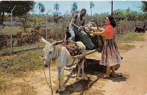 Coconut Wagon Jamaica Unused 