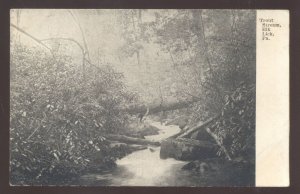 ELK LICK PENNSYLVANIA PA. TROUT STREAM VINTAGE POSTCARD 1908