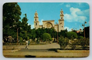 Merida  Yucatan  Mexico     Postcard