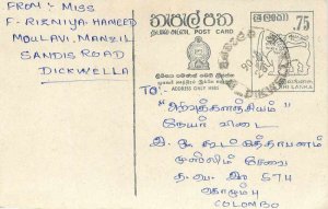 Entier Postal Stationery Postal Sri Lanka Ceylon Lion