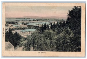 c1950 Te Aroha Aerial View Houses Lake Trees Roads New Zealand NZ Postcard