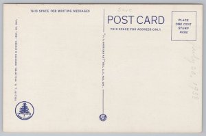 Linen~Badlands South Dakota~Cedar Pass~Vampire Valley~Vintage Postcard