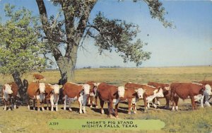 Short's Pig Stand - Wichita Falls, Texas TX  