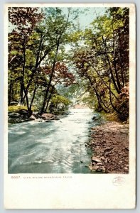 Minneapolis Minnesota~Still Waters~Glen Below Minnehaha Falls~c1905 Detroit Pub