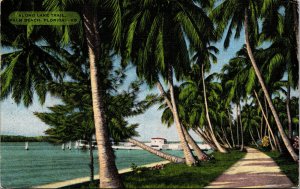 Vtg 1950s Along Lake Trail Palm Beach Lake Worth Florida FL Linen Postcard