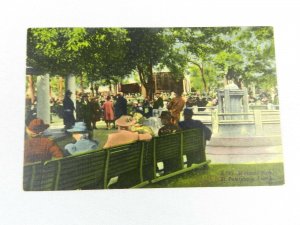Vintage Postcard Williams Park St. Petersburg Florida Card Art Colortone