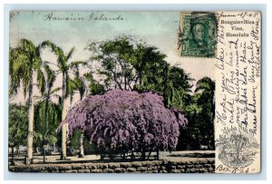 1908 Bougainvillea Vine Aloha Nui Honolulu Hawaii HI Posted Antique Postcard