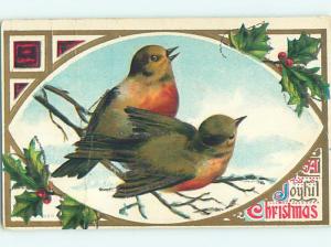 Pre-Linen christmas BEAUTIFUL LARGE BIRDS SITTING ON BRANCH hr2774