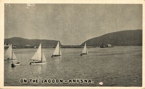 South Africa On The Lagoon Knysna Vintage Postcard 08.65