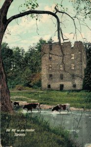 Canada Old Mill on the Humber Toronto Vintage Postcard 07.41