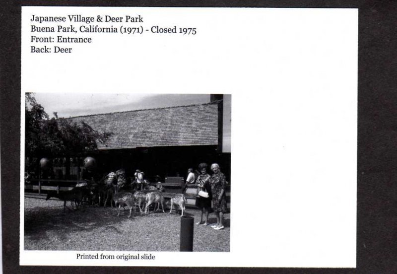 CA Japanese Village & Deer Amusement Park Buena Park California Postcard