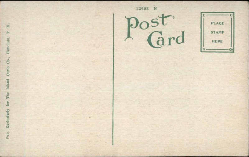 Hawaii HI Shark Fishing c1910 Postcard