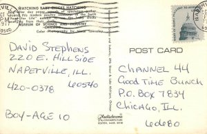 Watching Baby Chicks Hatching Incubator Chicago Museum 1977 Vintage Postcard