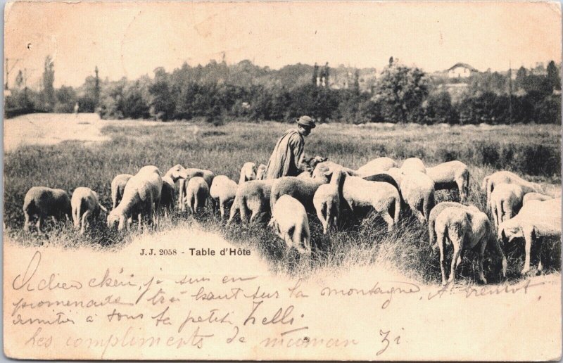 Switzerland Table d'Hôte Sheep Herder Vintage Postcard 09.12