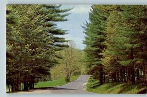 Postcard-Poplar Run Scene-Chancellorsville,Virginia/VA