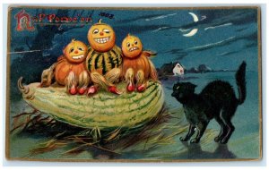 1908 Halloween Gourds Gace Black Cat Crescent Winnipeg Manitoba Canada Postcard