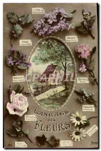 Old Postcard Fantasy Flowers of Language