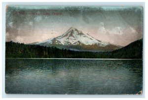 1909 Mt Hood from Lost Lake Oregon OR Posted Antique Postcard 