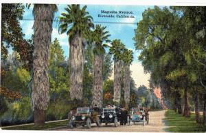 Postcard Riverside Ca Magnolia Ave