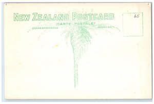 c1940's Ward Bath Buildings Rotorua New Zealand Vintage RPPC Photo Postcard