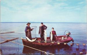 Mont Louis Gaspe Quebec QC Fishing Man Boys Fish c1970s Vintage Postcard D61