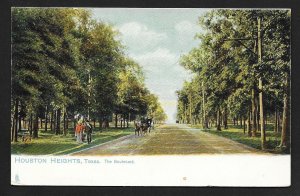 Tree Lined Street View Houston Heights Texas Used c1909