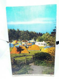 National Forest Camping Park Forest of Dean Glos Vintage Postcard 1968 Campsite