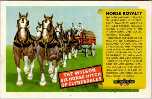 Advertising Wilson & Company Meat Packers Horse Royalty Clydesdales Postcard W11