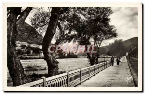 Old Postcard Digne The Bleone Boulevard Gambetta