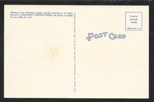 People at Ogunquit Lobster Pound Restaurant Ogunquit ME Unused c1940s