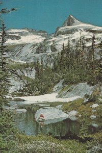 Valhalla Mountains Highway 6 British Columbia Canada Postcard
