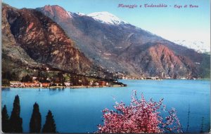 Italy Menaggio e Cadenabbia Lago di Como Vintage Postcard C162