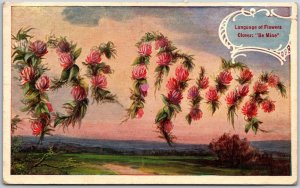 1909 Language Of Flowers  Clover: Be Mine Posted Postcard