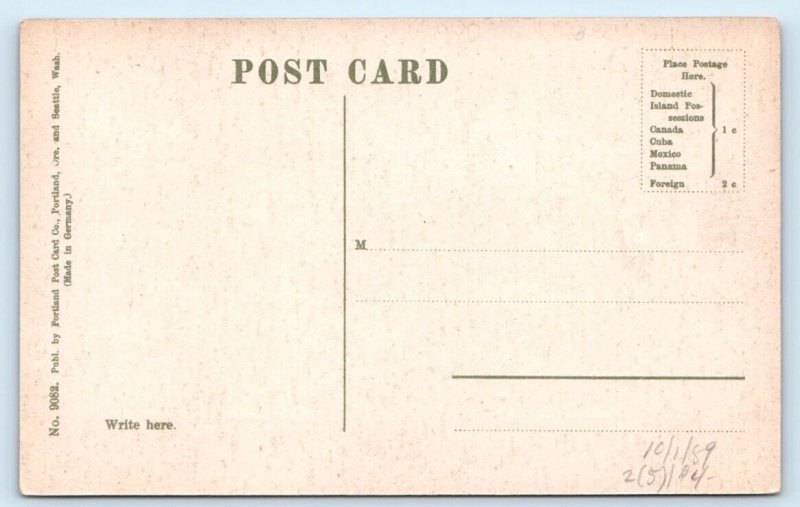 DAWSON Yukon CANADA Postcard