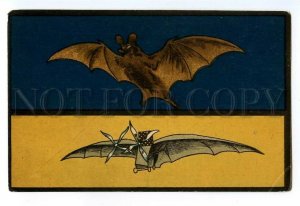 497321 HISTORY AVIATION Avion Adera bat Vintage russian game card