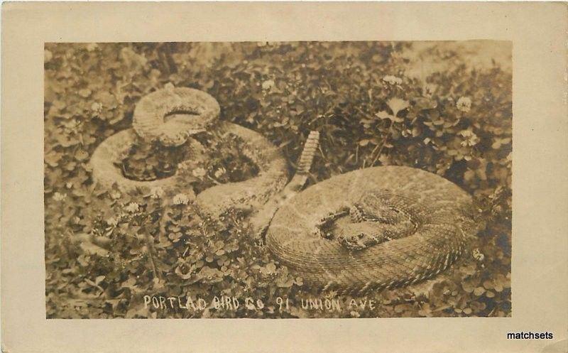 C-1910 Oregon Portland Bird Rattlesnake Advertising RPPC real photo 2243