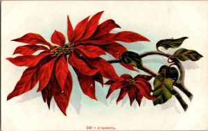 Edward H Mitchell Poinsettia Floral Postcard Early Divided Back Unposted